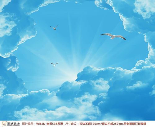 WB3D-全景535-天頂