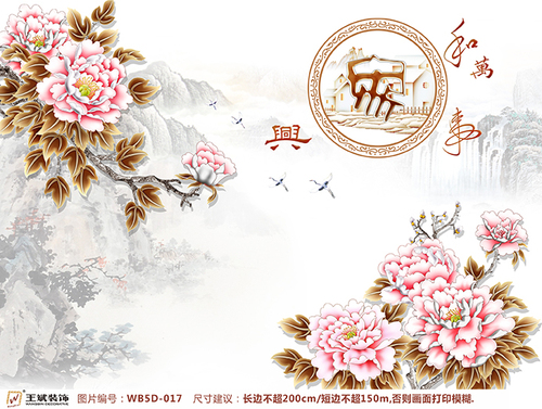 WB5D-017