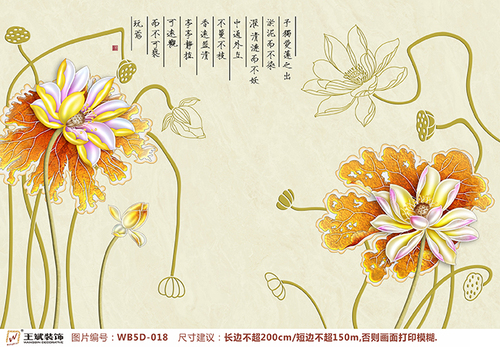 WB5D-018
