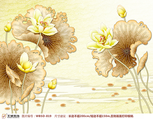 WB5D-019