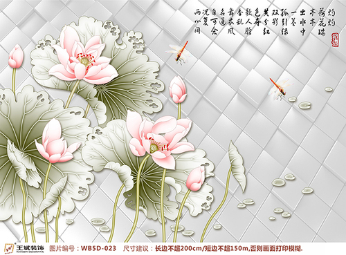 WB5D-023