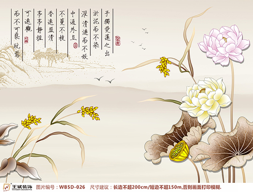 WB5D-026