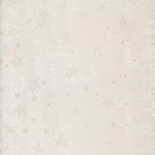 H002滿天星