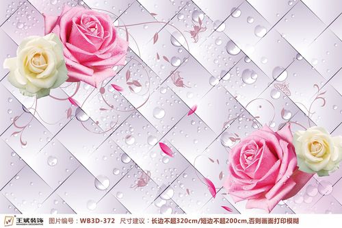 WB3D-372