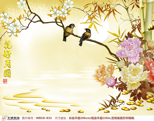 WB5D-033