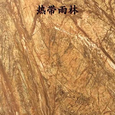 热带雨林