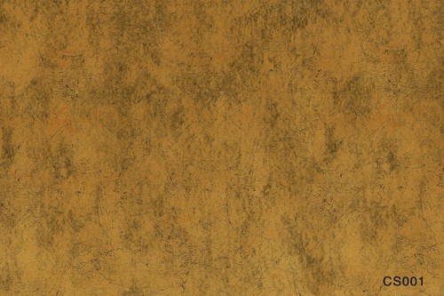 CS001