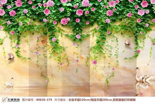WB3D-379