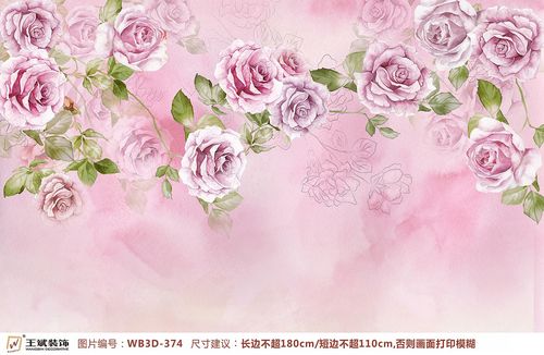 WB3D-374